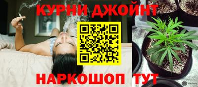 СК Жуковский