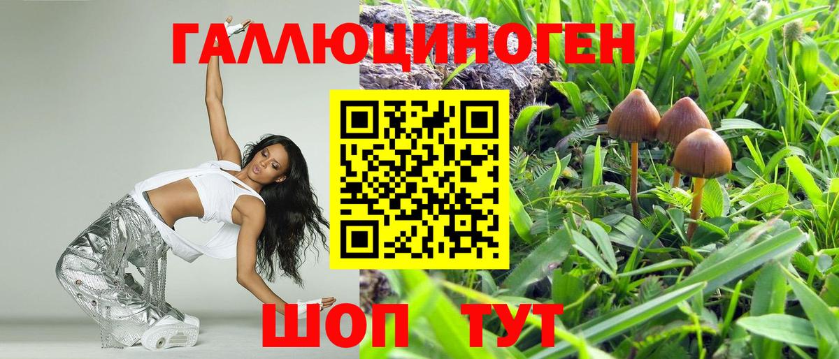 Псилоцибиновые грибы ЛСД  Вход с VPN  Псилоцибиновые грибы MAGIC MUSHROOMS  Люберцы 